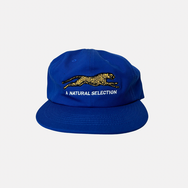 Brother Brother Natural Technicolour Selection Cap - Pine Green