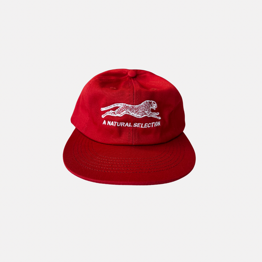 Brother Brother Natural Selection Cap - Fire Red