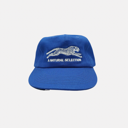 Brother Brother Natural Selection Cap - Royal Blue