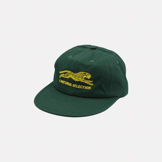 Brother Brother Natural Selection Cap - Hunter Green / Gold