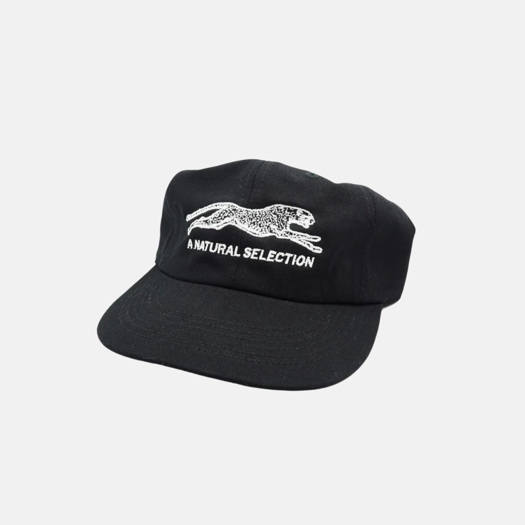 Brother Brother Natural Selection Cap - Black